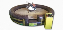 Mechanical Bull Mechanical Ride